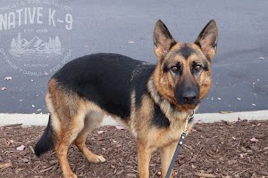 Native K9 Training place picture